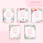 Combo Completo – Coleção O Amor de Deus 2024